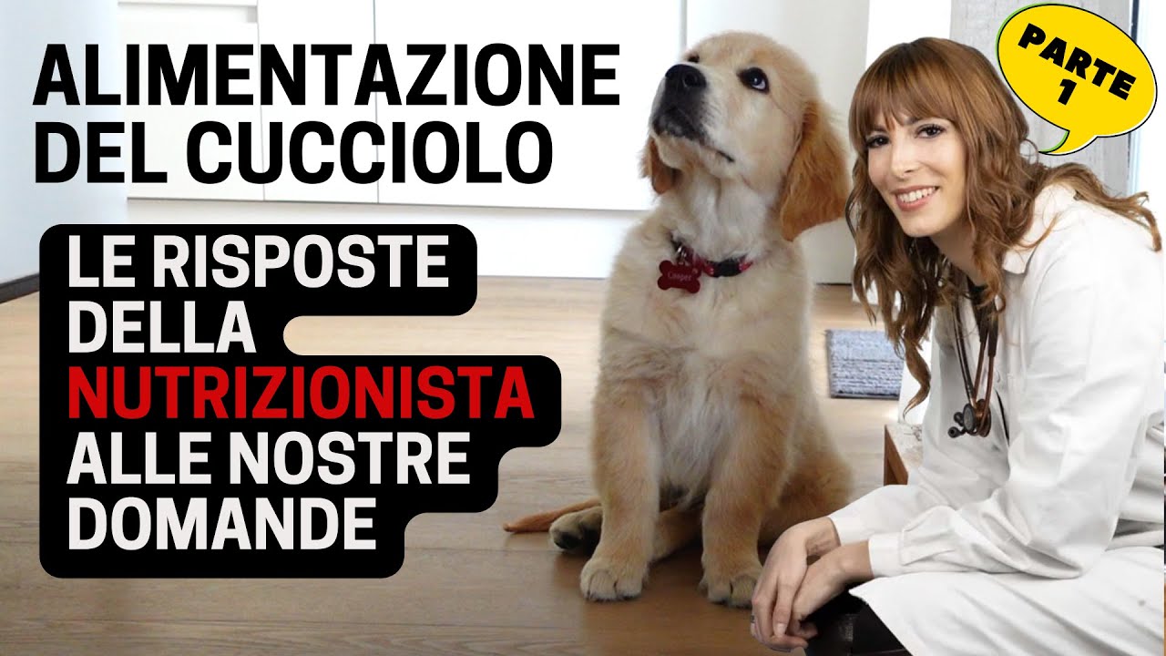 Alimentazione del cucciolo: la nutrizionista Giulia Pignataro risponde alle nostre domande