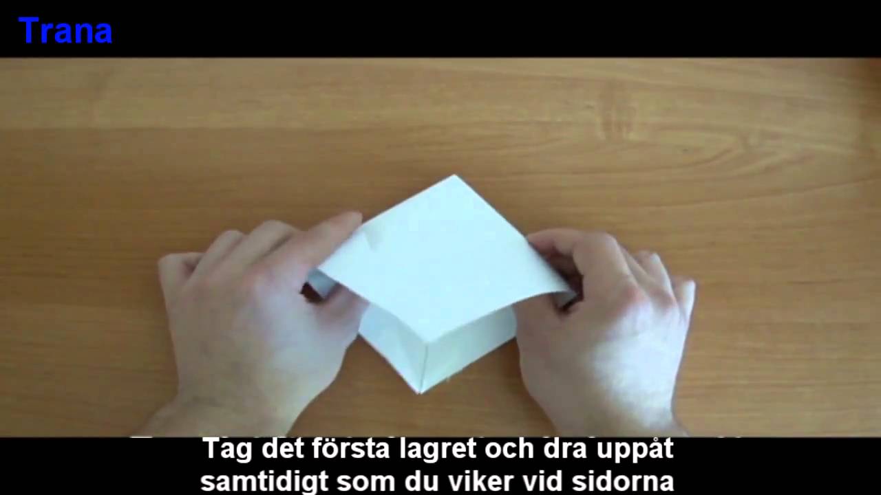Origami - Trana