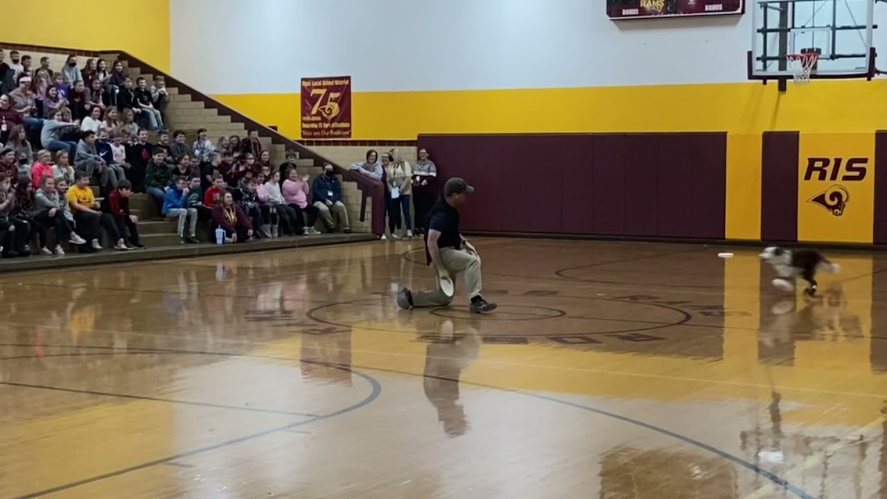 Performance Dogs of Ohio K9s School Pep Rally - Ross Rams - Hamilton Ohio