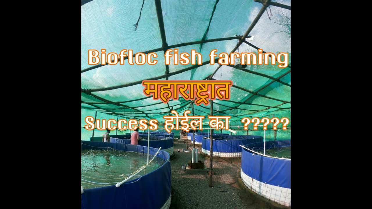 Biofloc fish farming महाराष्ट्रात Success होईल का  ????? contact - 8779041909