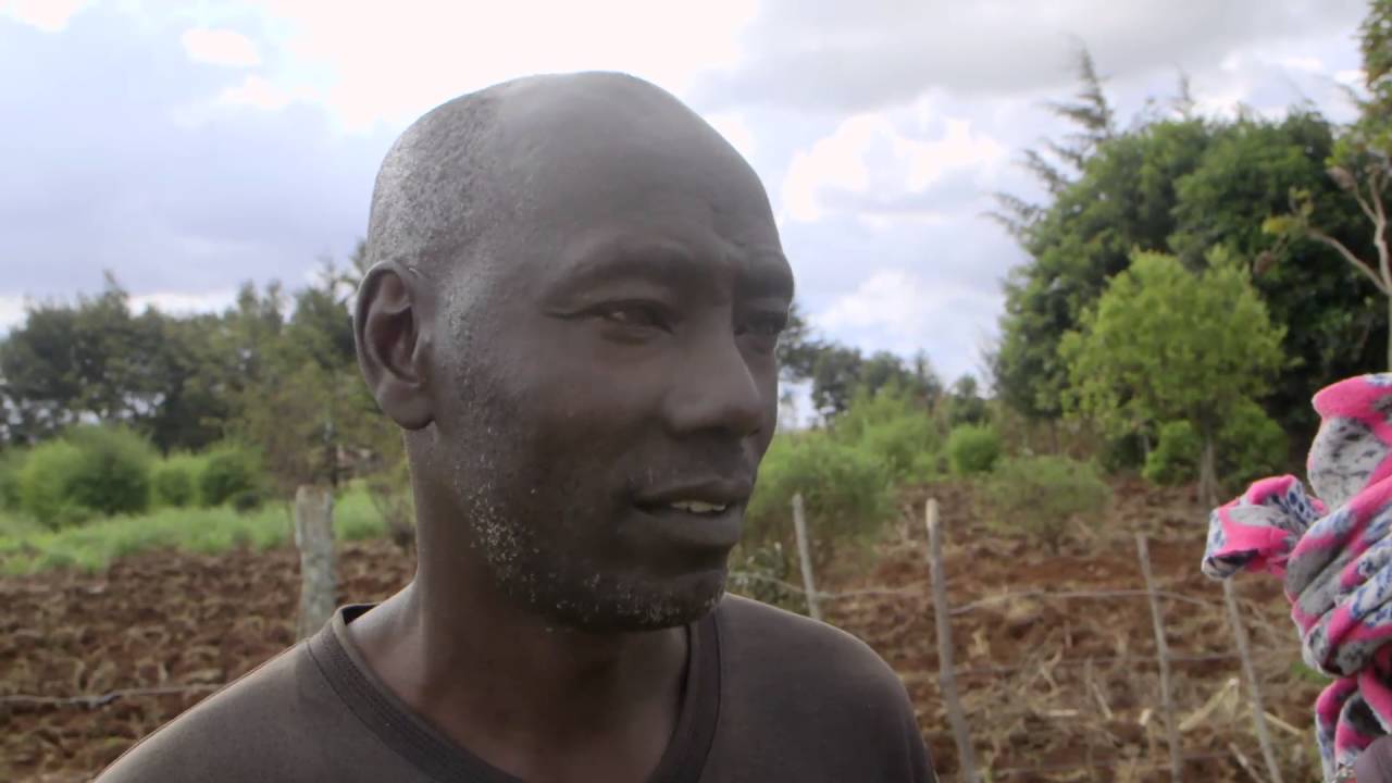 Shamba Shape Up Sn 6 - Ep 12: Tomatoes, Conservation Agriculture, Post Harvest Storage (English)