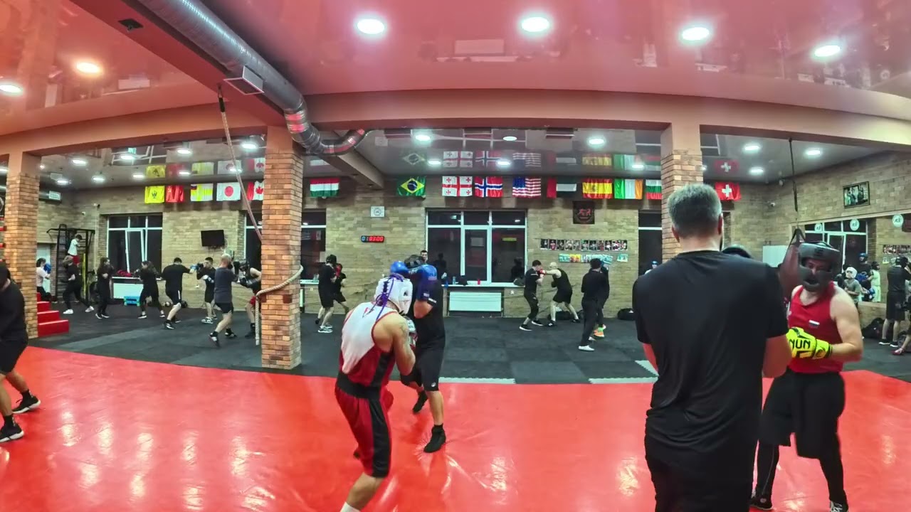 Бокс вольные Кирилл VID 20251015 201954 337