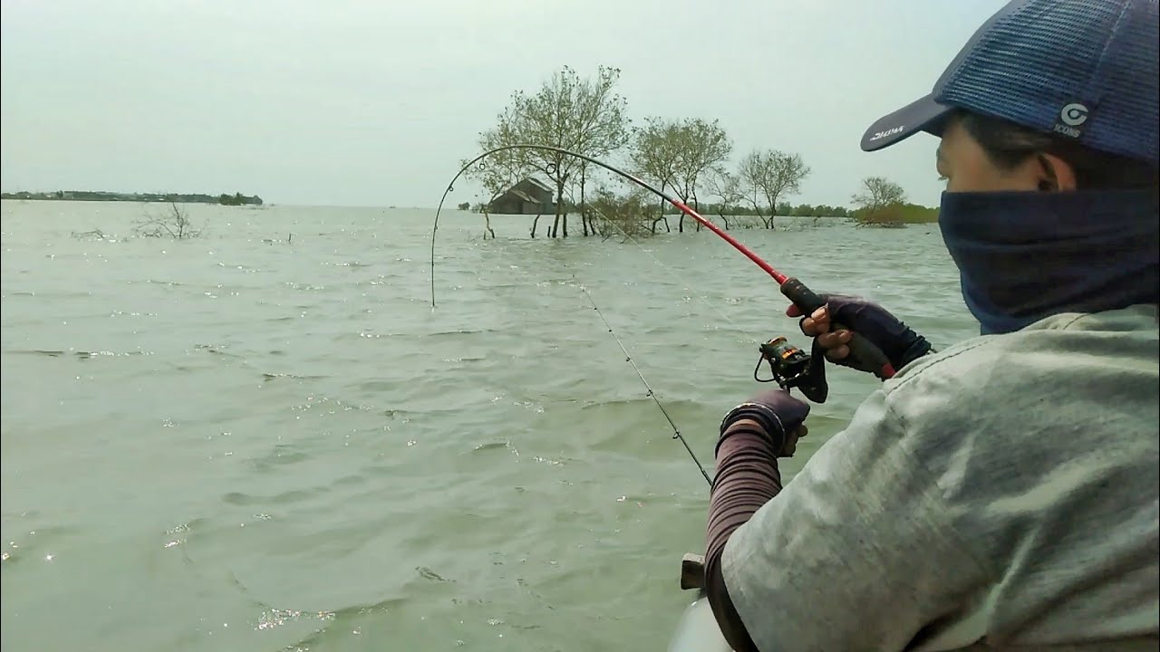 Berburu Ikan Babon Disaat Angin Kencang, Mancing Semarang Kendal