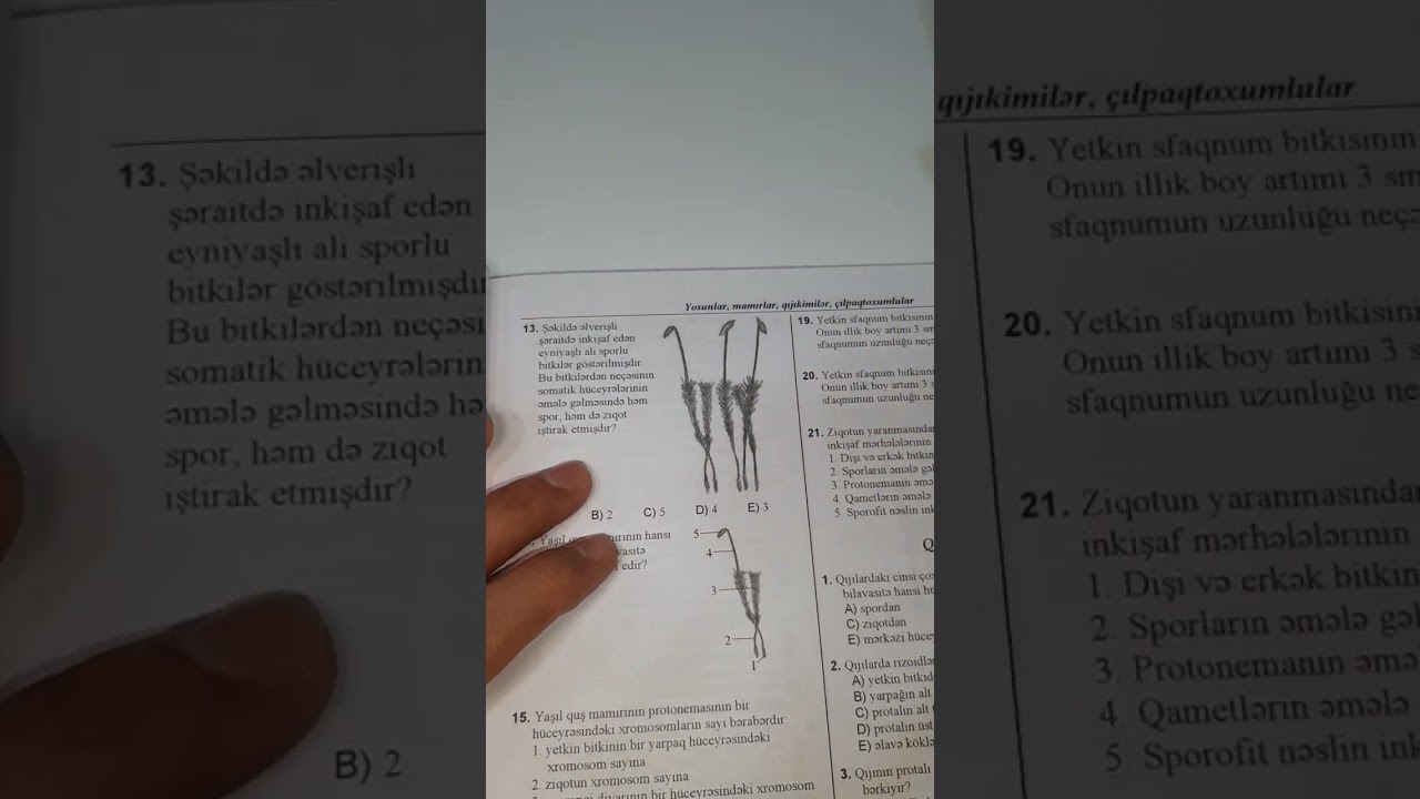Mamırlar şöbəsi. Biologiya test toplusu 2023. 055 246 10 82.