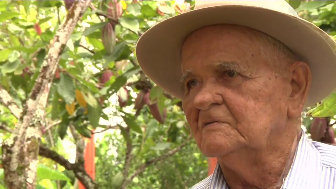 Agricultura al Día - Historia de vida cacaotero de San Vicente de Chucurí