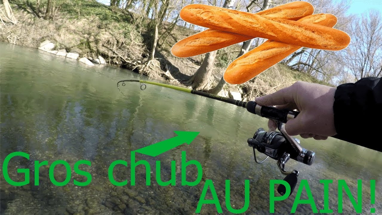 Test p&ecirc;che au pain // Enorme chevesne!!!