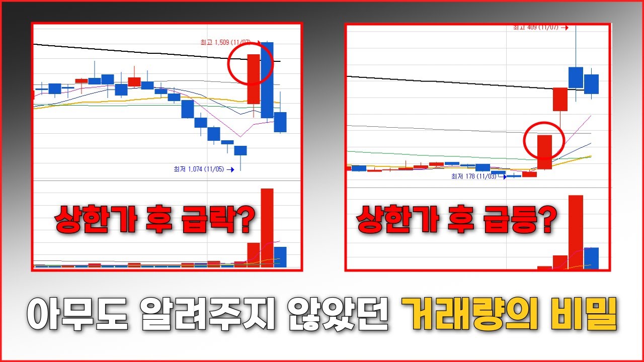 장대양봉 거래량의 비밀