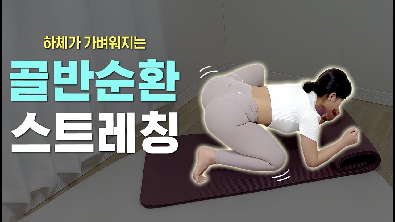 하체가 놀랍도록 가벼워지는 골반 순환에 필수인 스트레칭 루틴