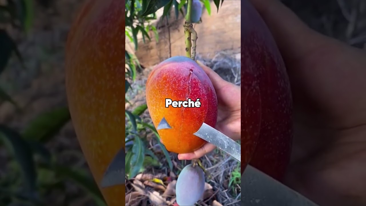 Quando ti sei resa conto che tuo fratello voleva tutta la tua vita?