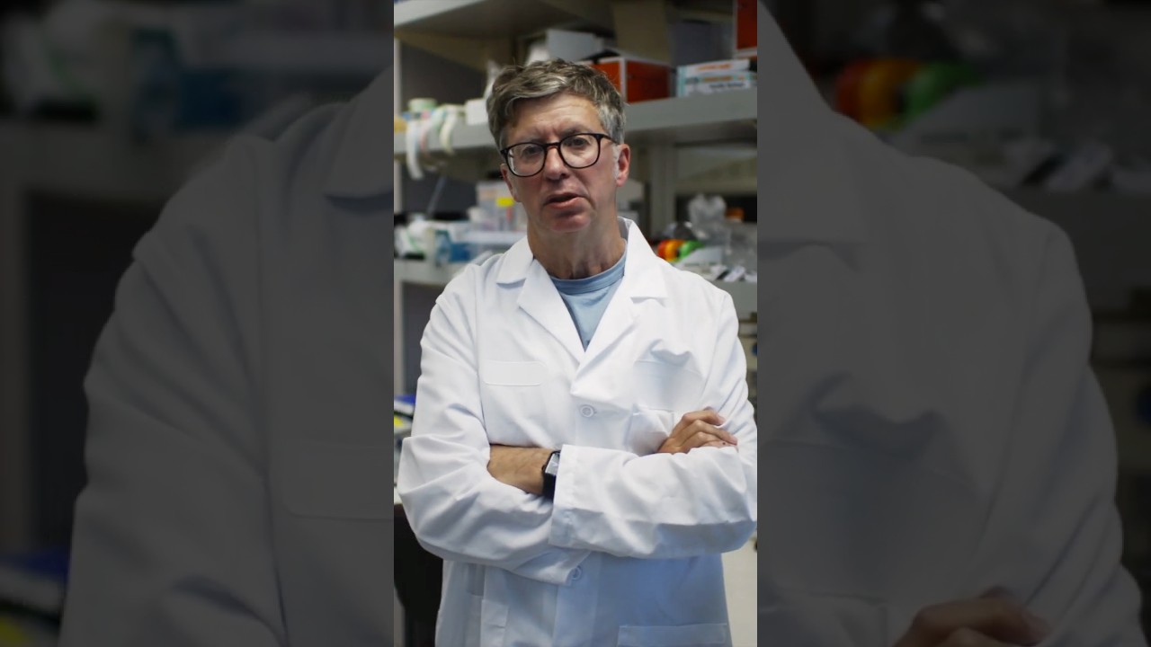 Prof. Luis De Lecea: &lsquo;Step by step, we&rsquo;ve made a huge amount of progress&rsquo;