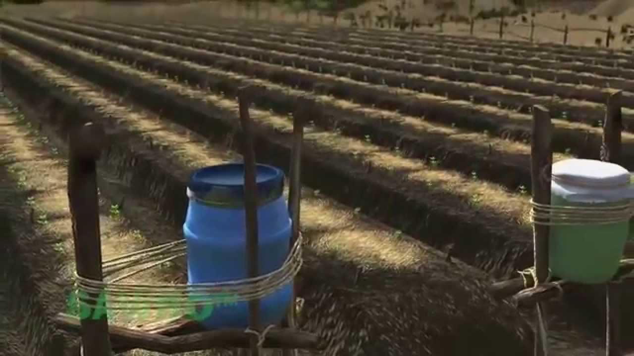 Agricultura de supervivencia: Riego por goteo en Español (acento de España)