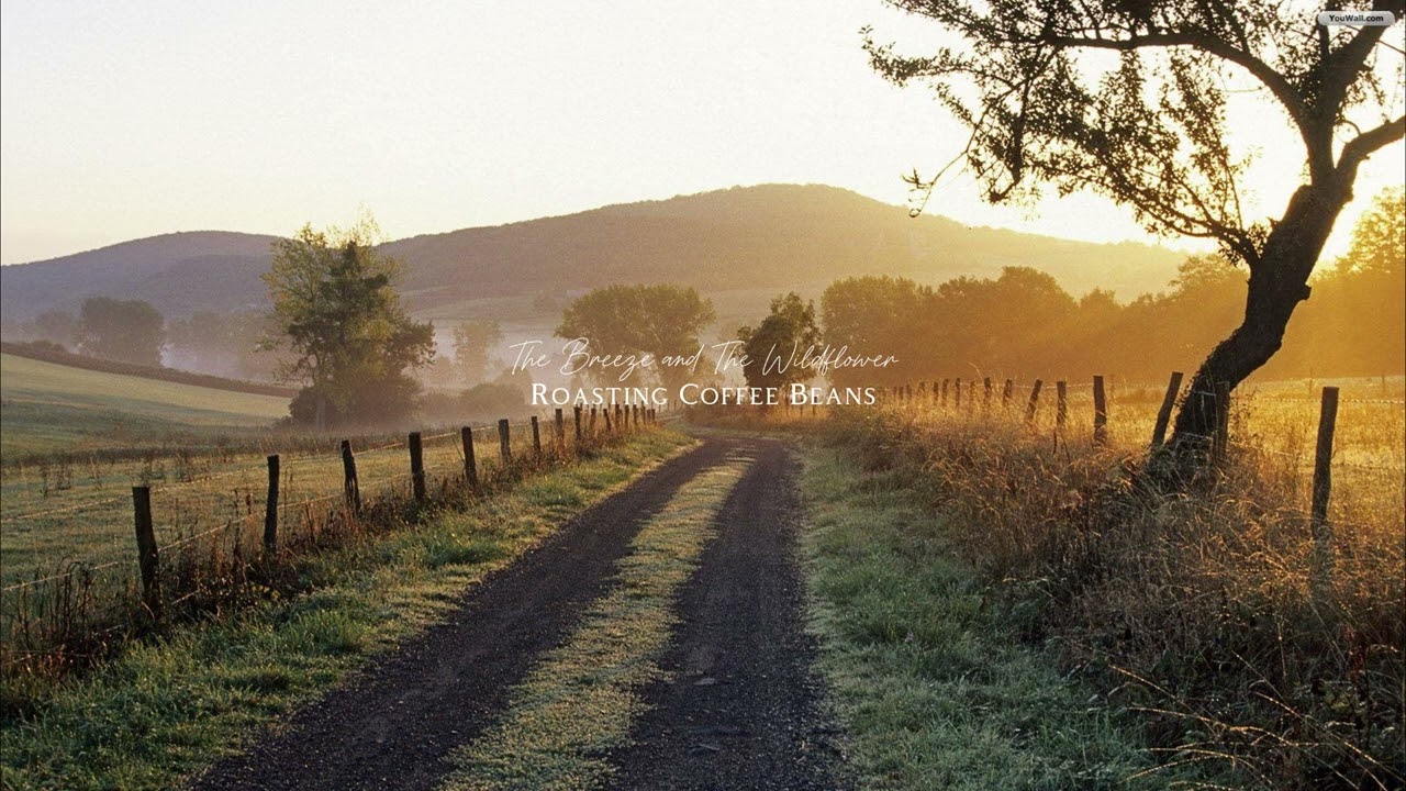a piano playlist for quiet mornings in the countryside