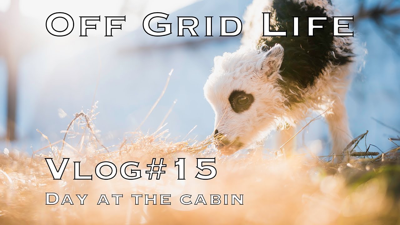 Off Grid Life | Sunny day at the cabin