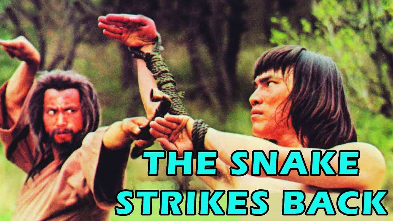 Wu Tang Collection - Snake Strikes Back