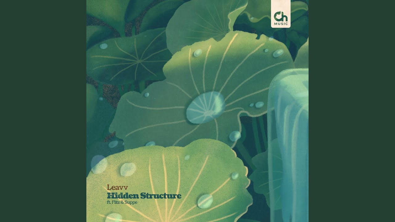 Hidden Structure