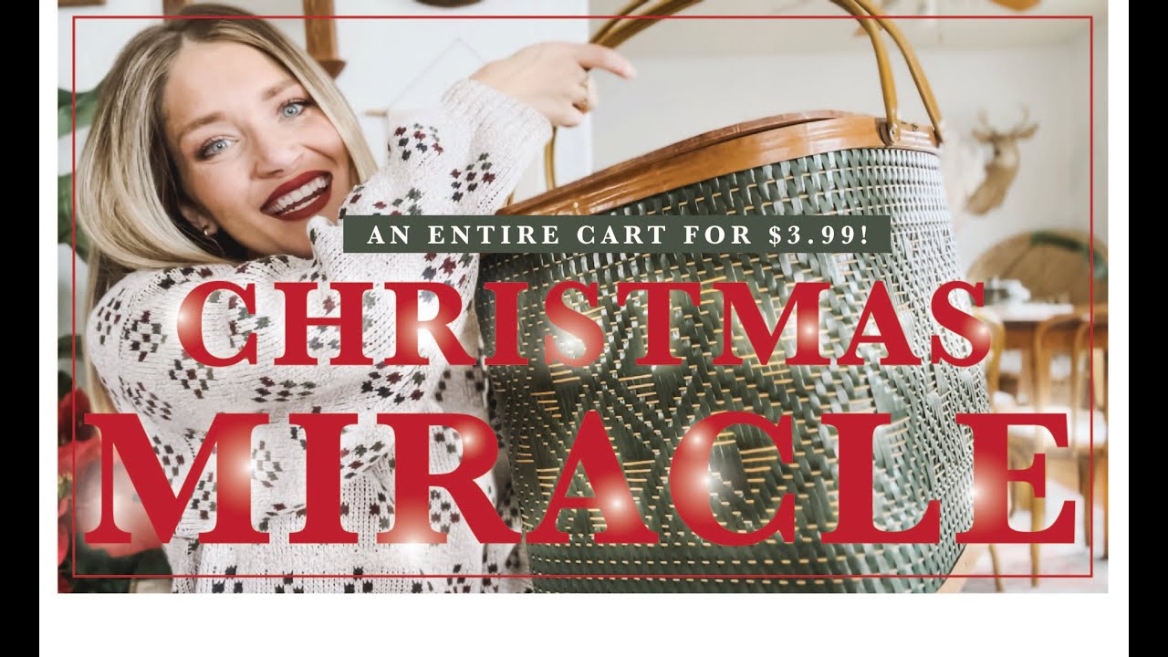 Thrift With Me | CHRISTMAS MIRACLE at the Goodwill Bins!