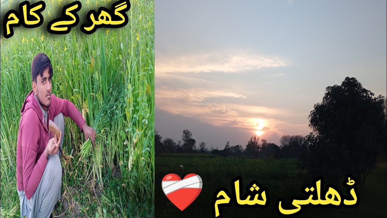 شام کا سکون ❤️ گھر کے کام 🌾 |village ولاگ