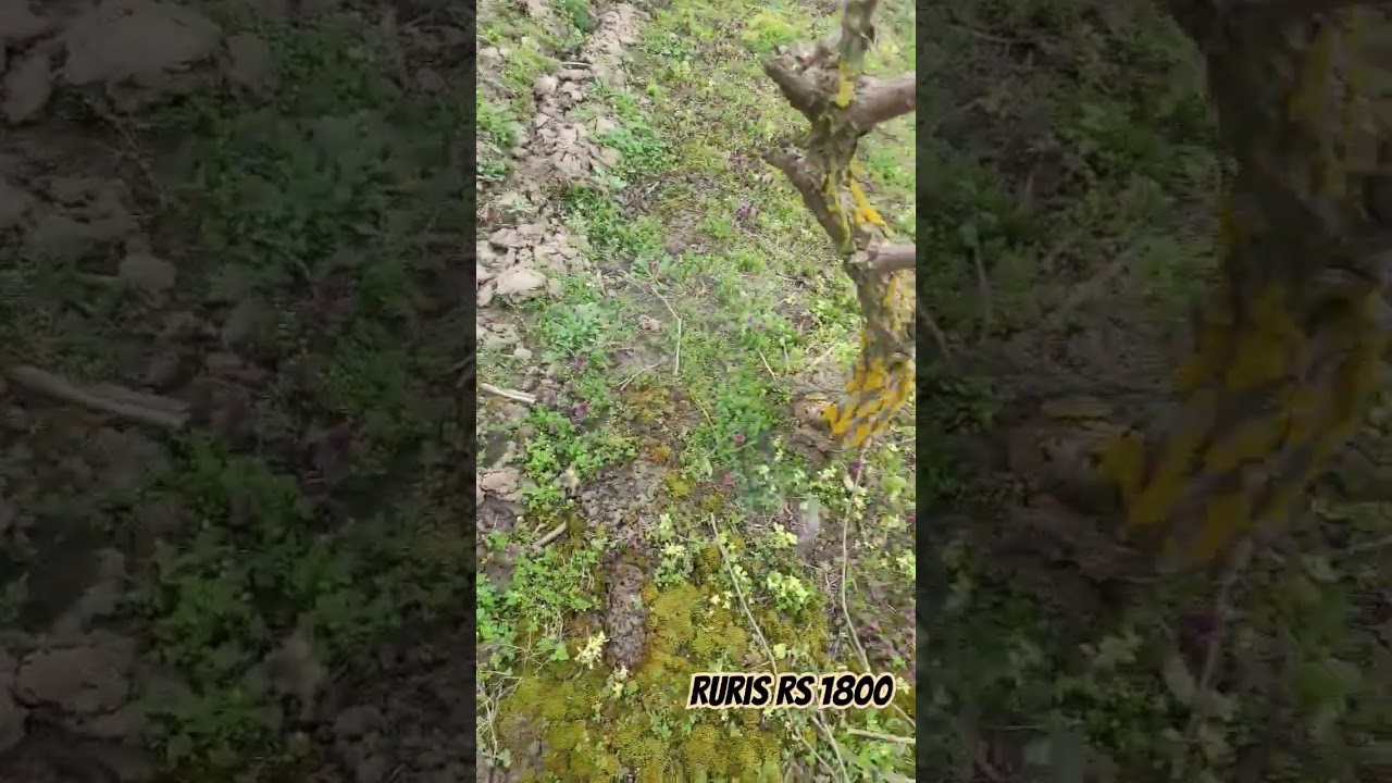 ruris RS 1800 gyomirtózás