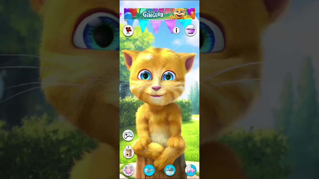 Talking Ginger 2👻 Talking Ginger Tom