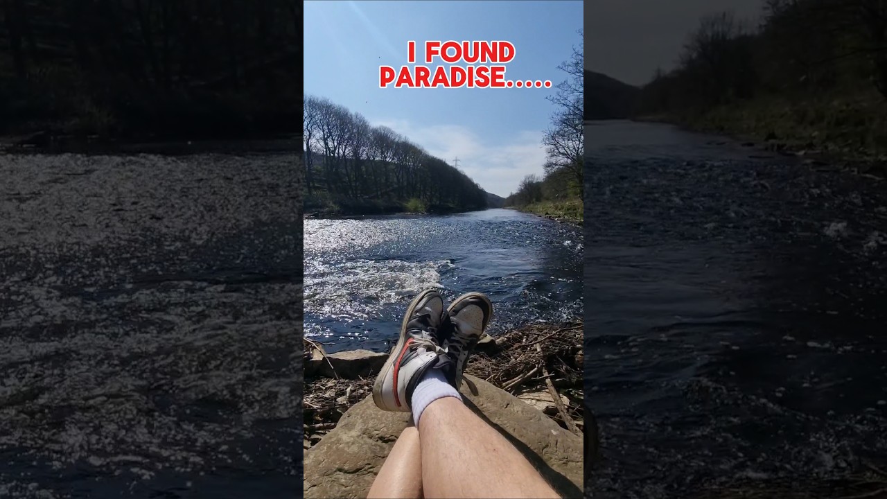 I Found Paradise ....in Brighouse!