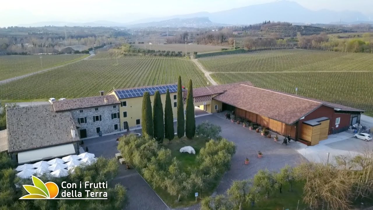 Il fascino dell'Amarone