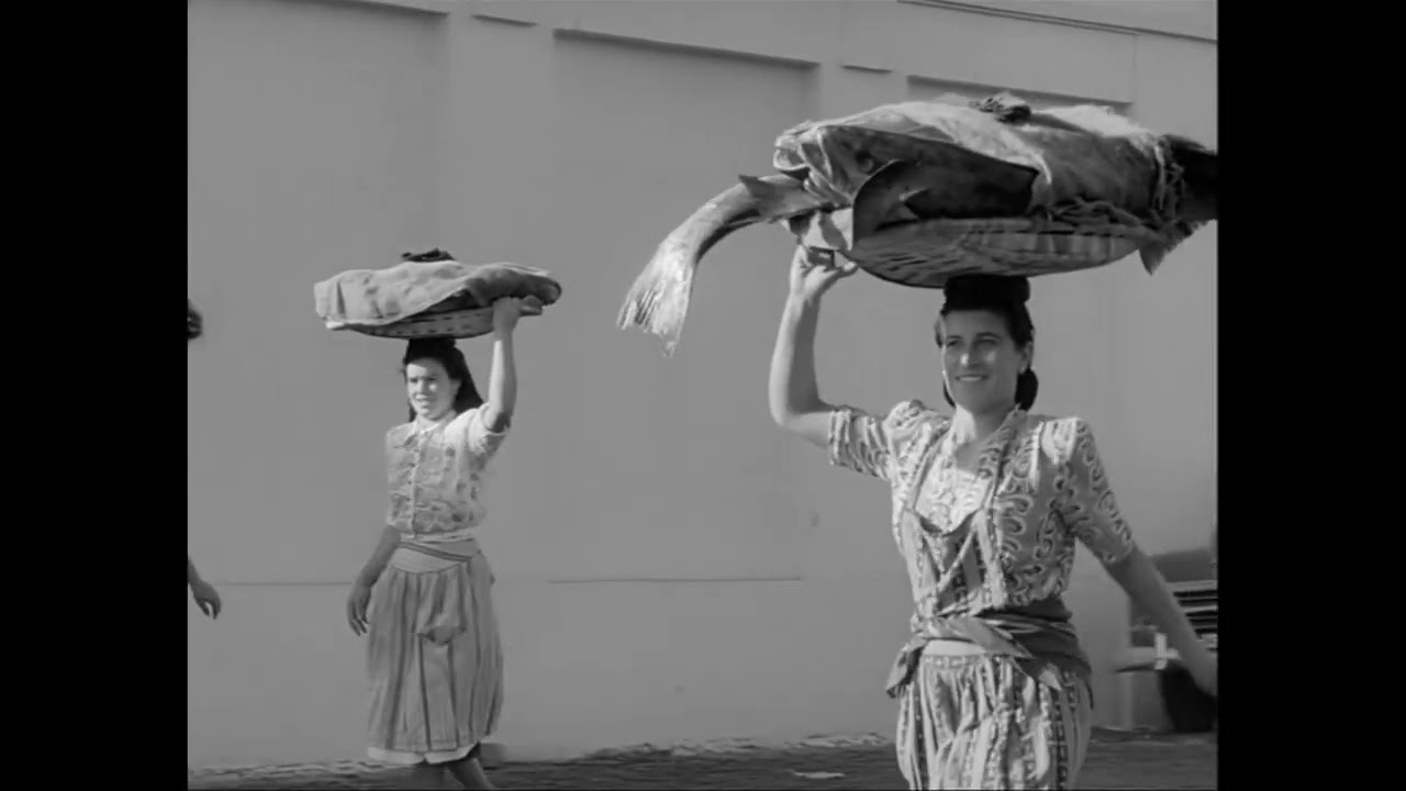 Trailer: Alfred Ehrhardt, 