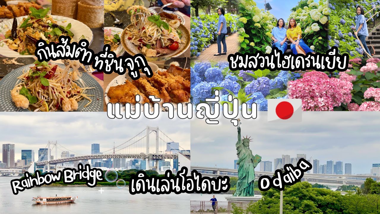 #485 แม่บ้านญี่ปุ่น🇯🇵 ชมสวนไฮเดรนเยีย | กินส้มตำที่ชินจูกุ | เดินเล่นโอไดบะ | ดูของร้านโดเรม่อน