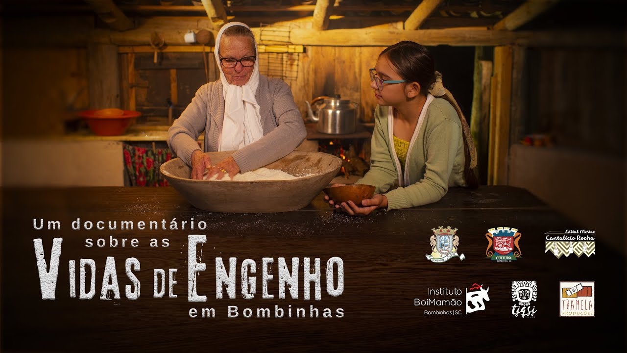 VIDAS DE ENGENHO