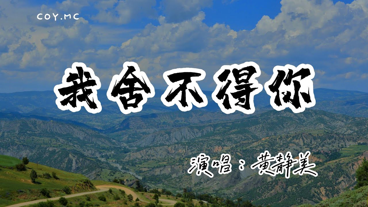 黃靜美 － 我捨不得你『我捨不得你又和你結不了婚 還想多陪你走這一程』（動態歌詞/Lyrics Video/無損音質/4k）
