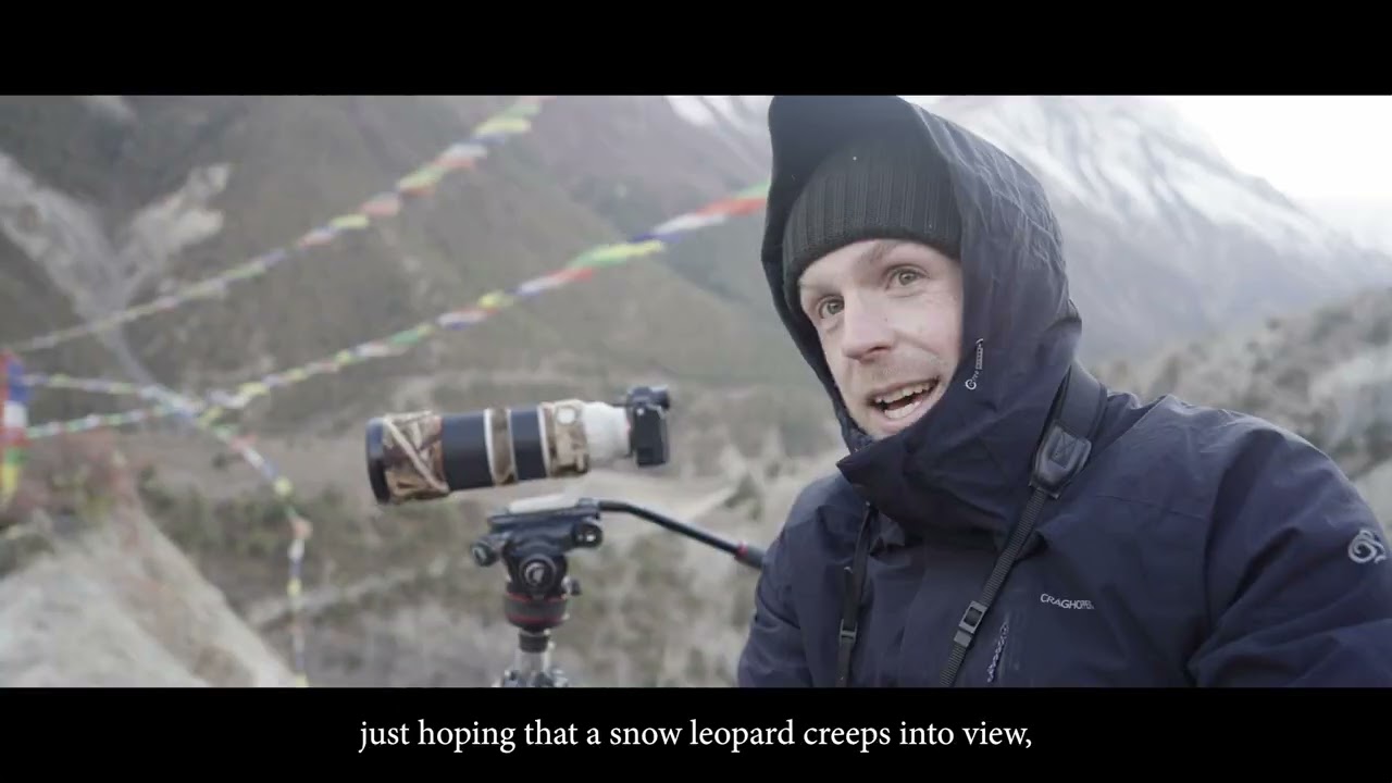 Snow Leopard Trail Teaser