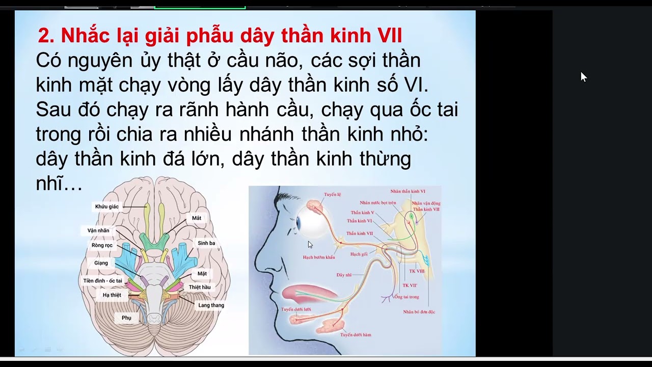 7  liet tk 7, tk toại, đái tháo đường  5 1 2026