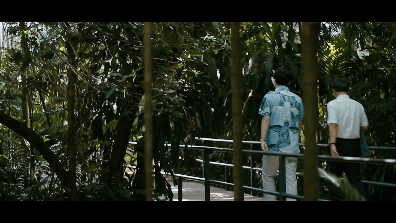 Port Moresby Nature Park🇵🇬(Cinematic B Roll)