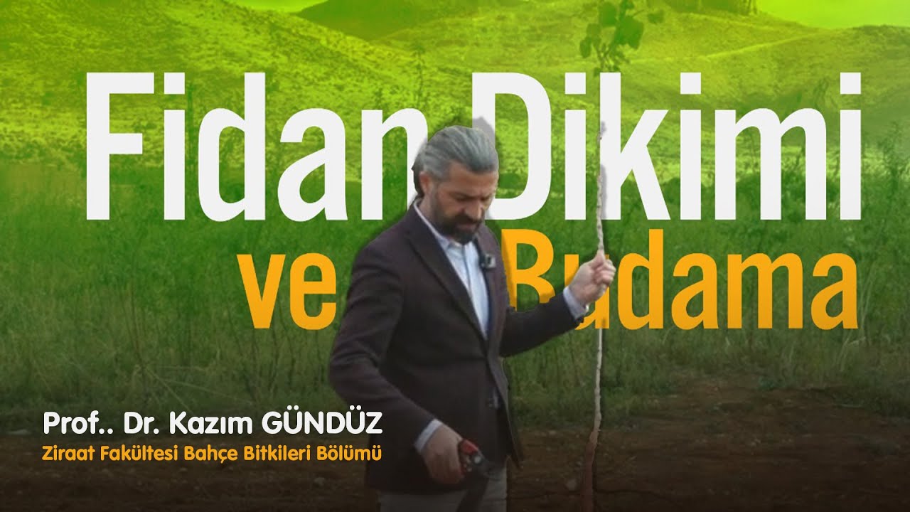 Kayısı Yetiştiriciliğinde Fidan Dikimi ve Budama