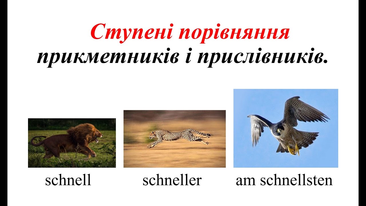Урок 41. Ступені порівняння прикметників і прислівників. Steigerung der Adjektive und Adverbien