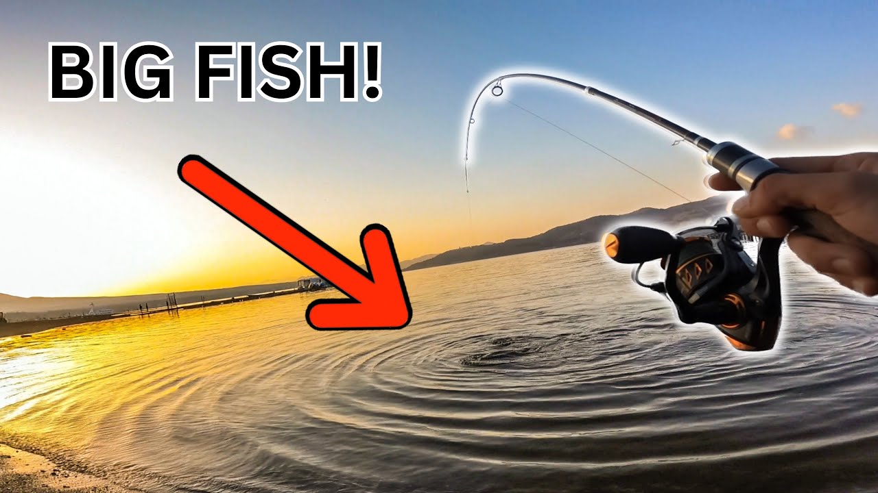 I CAN’T BELIEVE I CAUGHT THIS HUGE FISH IN JAPAN! 🇯🇵 🐟