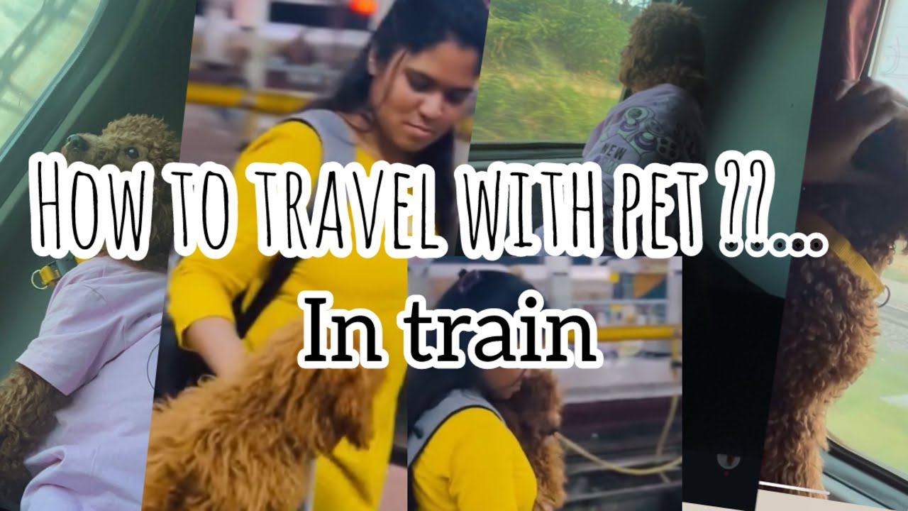 How to Travel with Your Pet in Indian Trains 🚂🐾 Full Step-by-Step Guide! | Tamil | 