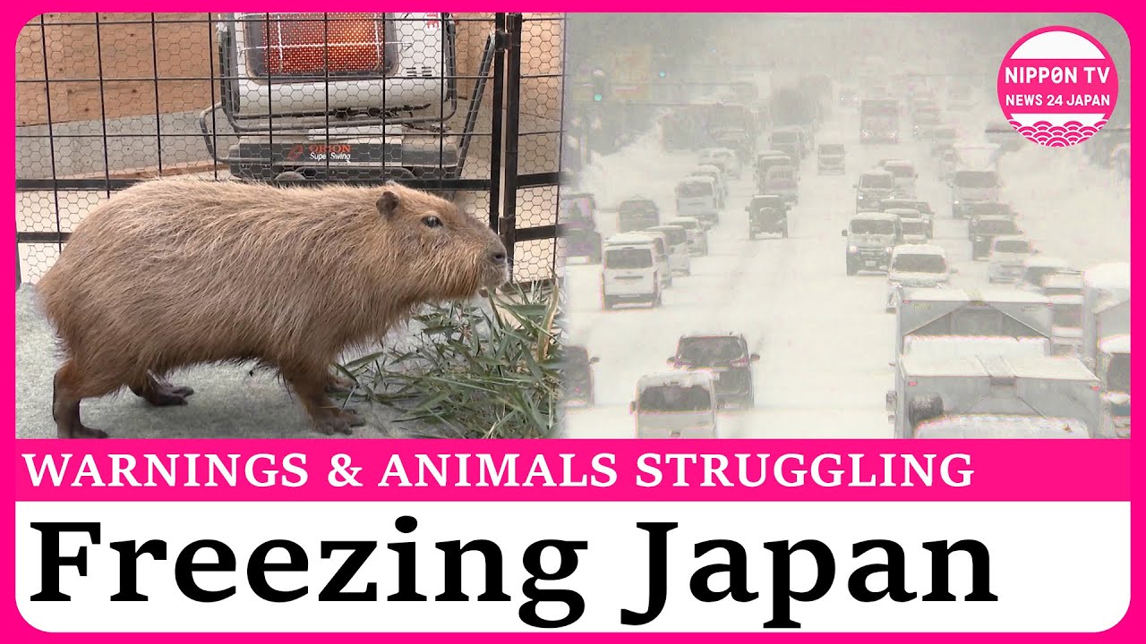 Powerful cold wave brings heavy snow and blizzards across Japan