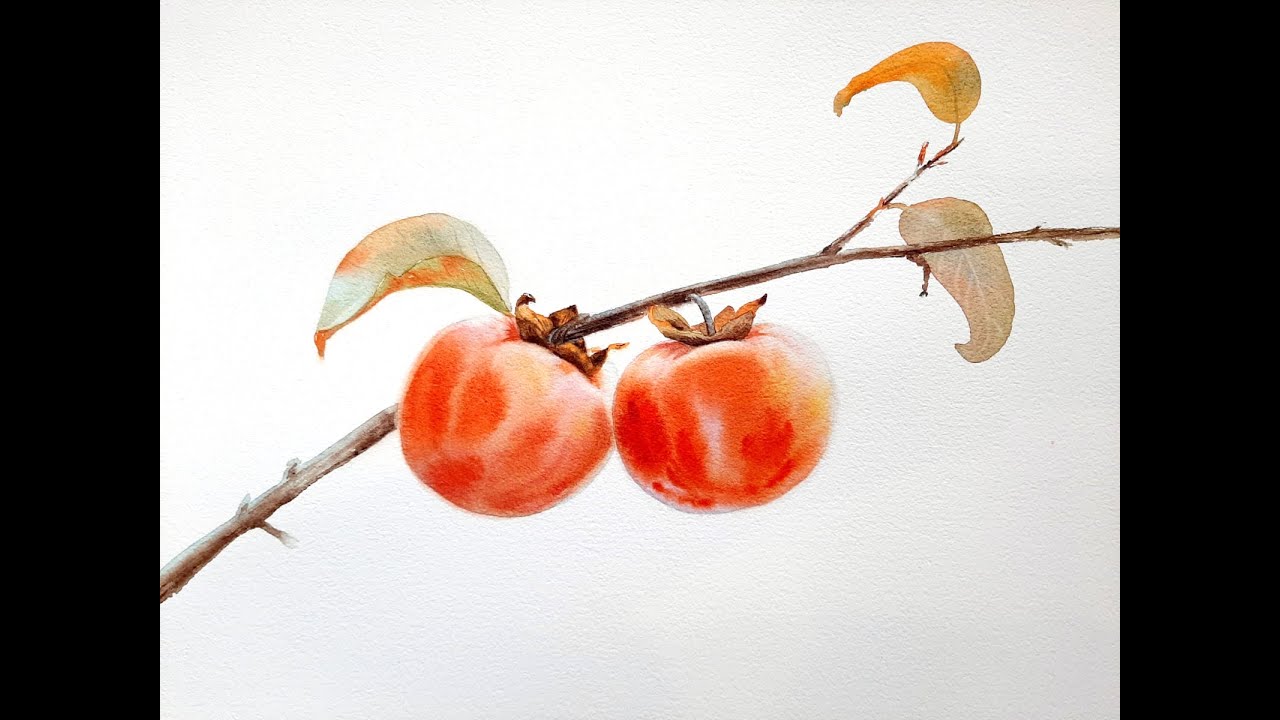 Peindre des kakis à l'Aquarelle🍊 | Cours d’Aquarelle Gratuit Nelly Rosso #aquarelle #art