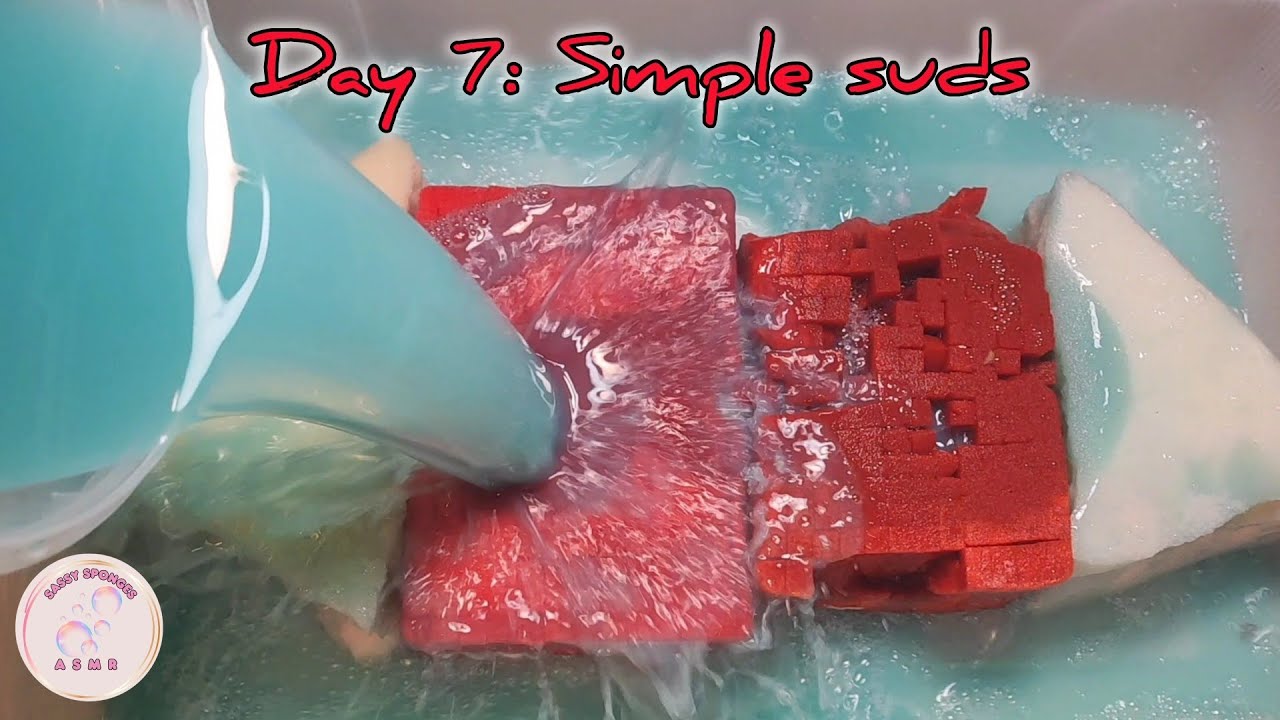 Day 7♻️ New Vs Worn out grid sponge🧽❤️ Red & Green Saved rinse water💚 Lots of suds