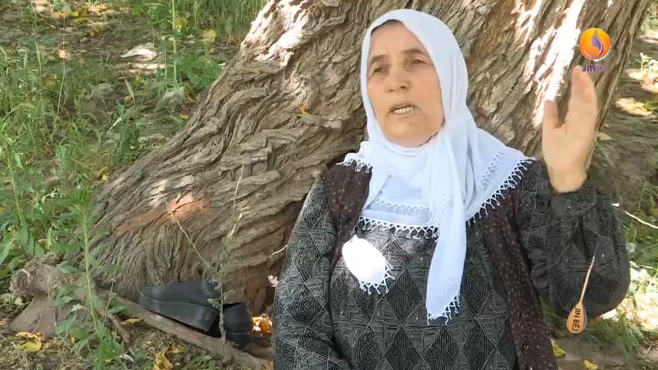 Jiyana dayikan, Mêrsîn, Amed, Wan, Mêrdîn 