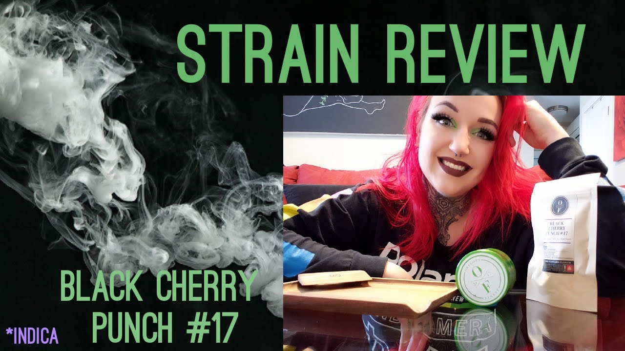 Strain Review| Black Cherry Punch #17| High Noon Cult
