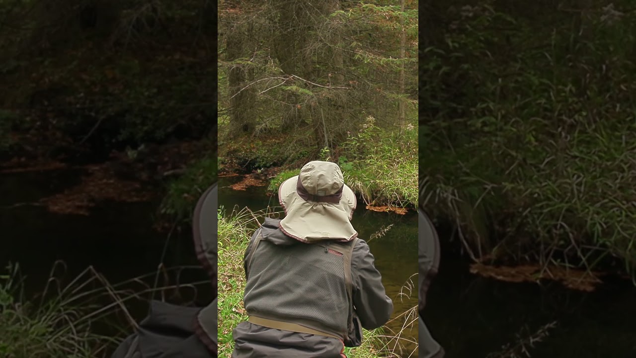 North Branch Beaver Creek, WI  #fishing #trout #wisconsin