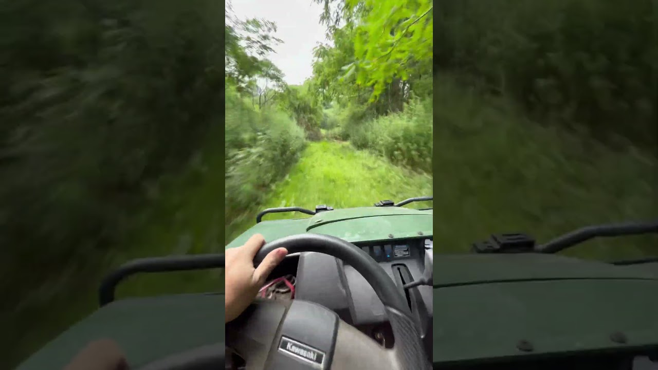 Kawasaki Mule MX Pro 4x4 EPS on the trail ASMR