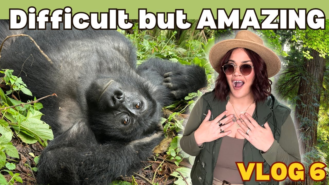 What Happens When You Meet Mountain Gorillas?