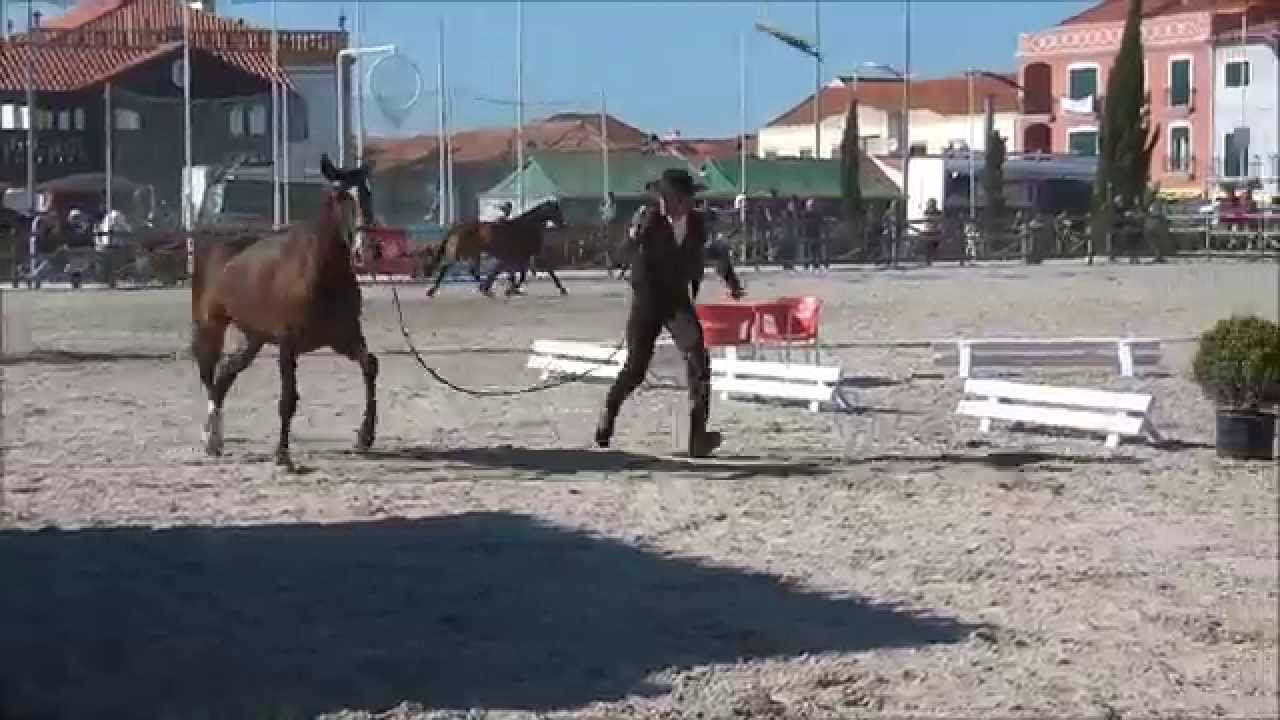 Guhapa ExpoEgua 2014