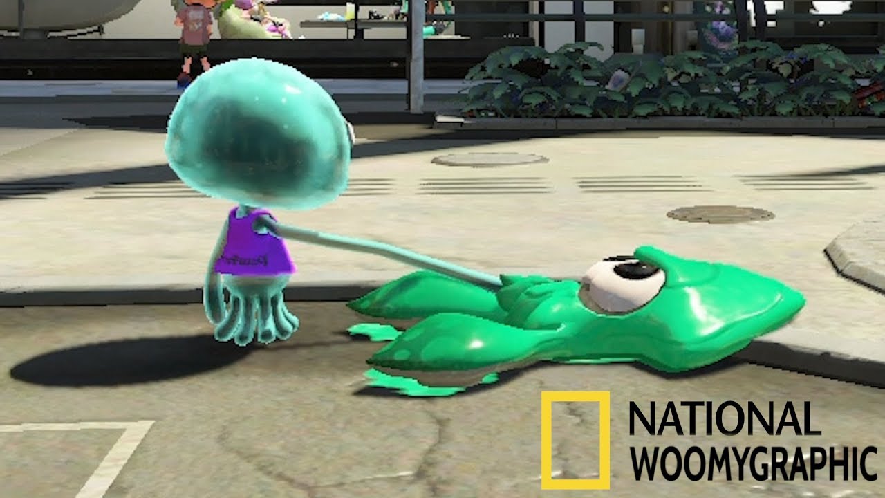 The Jellyfish Contact - National Woomygraphic