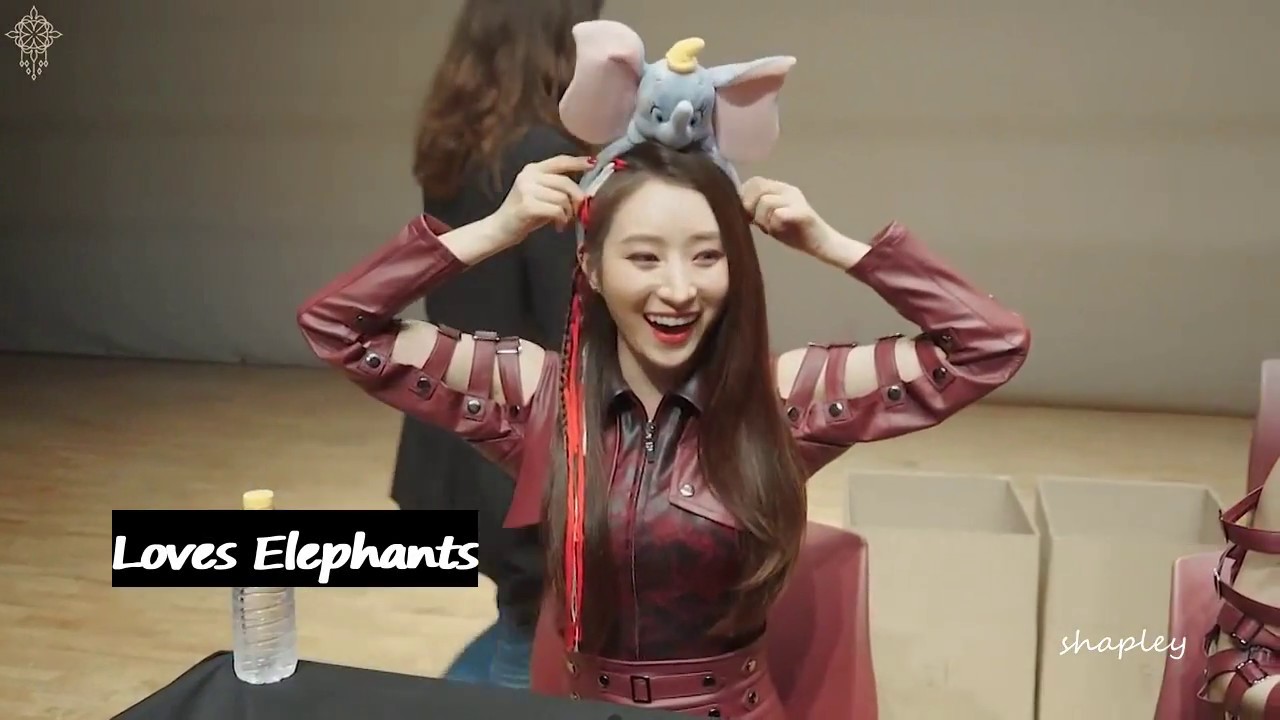 GET TO KNOW Dreamcatcher 드림캐쳐 SuA 수아 (Queen, Golden Hands, Hyper Kid, Butt Hunter)