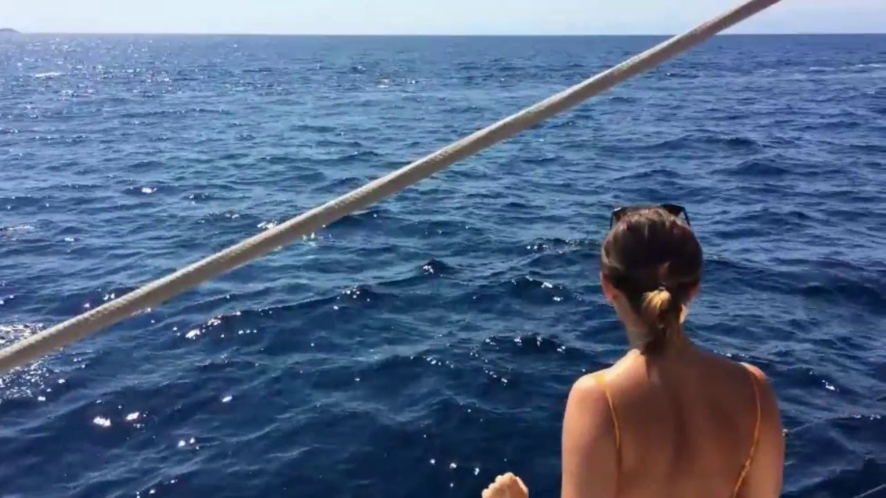 Day Sailing Tours, Athens ... Come Join the Fun!
