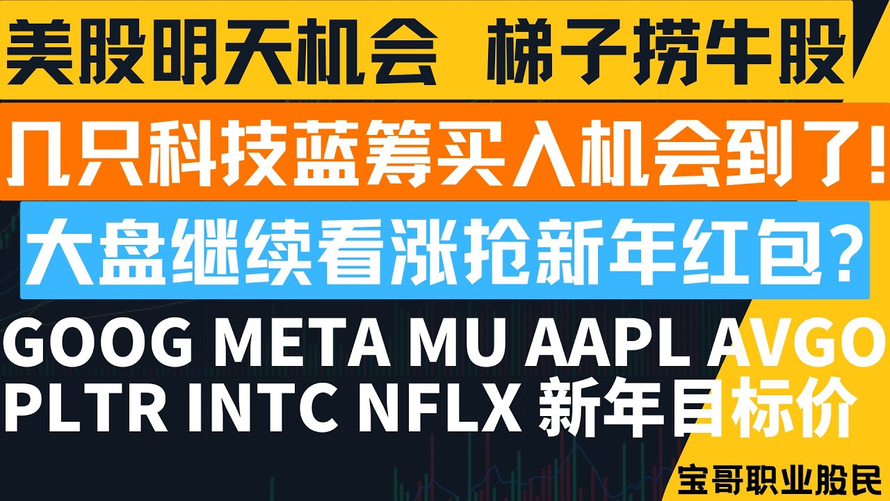 几只科技蓝筹买入机会到了! 大盘继续看涨抢新年红包? GOOG META MU AAPL AVGO PLTR INTC NFLX 新年目标价！12212025 