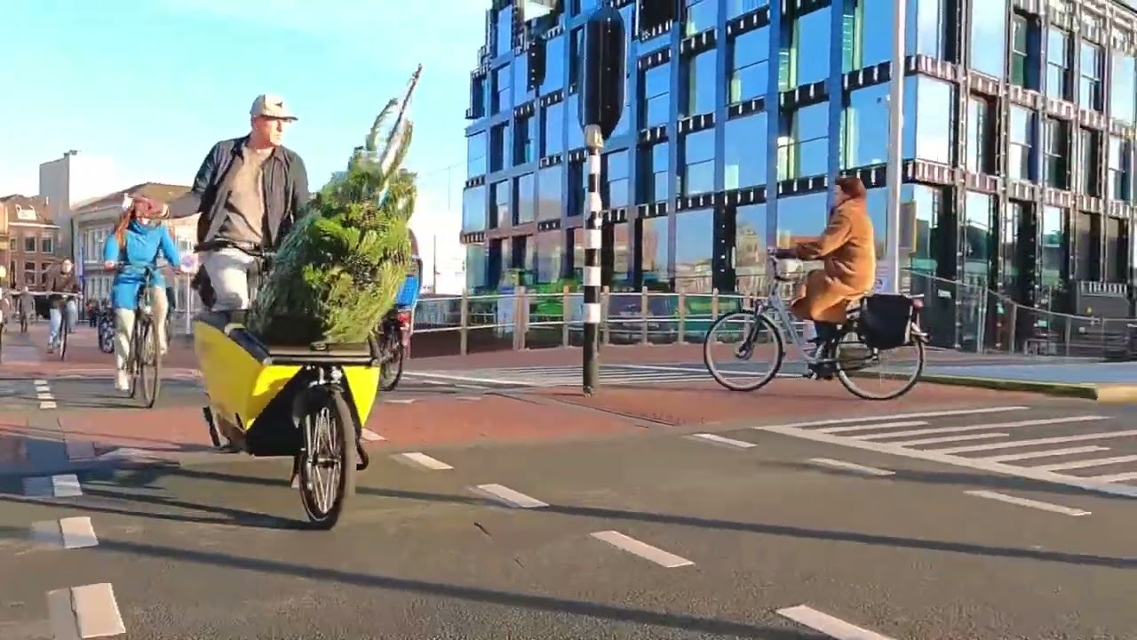 #TreeByBike Delft 2022